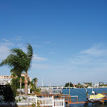 Nature of Treasure Island 2006