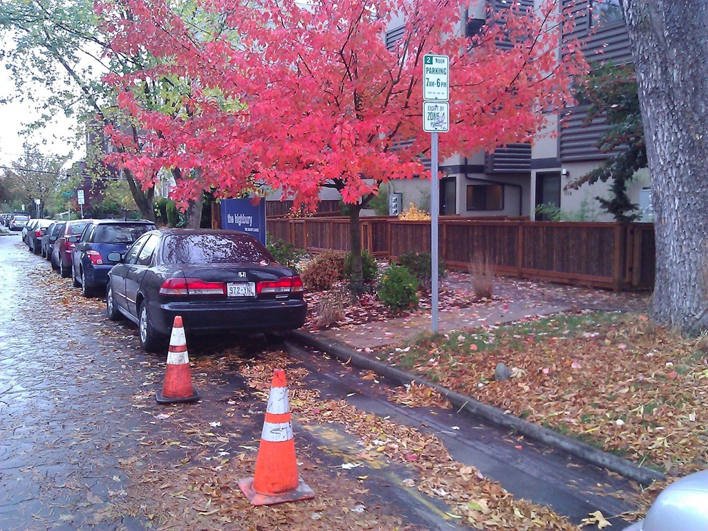 [WP_000573-coned-street%255B3%255D.jpg]