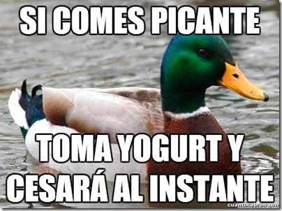 0 pato consejos cosasdivertidas info (9) 0 pato consejos cosasdivertidas info (9)