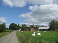 IMG_7717 IMG_7717