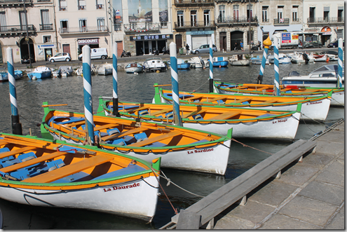 IMG_2422 IMG_2422