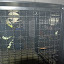 pol10_078.jpg