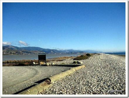 Boulder Bank, Nelson.