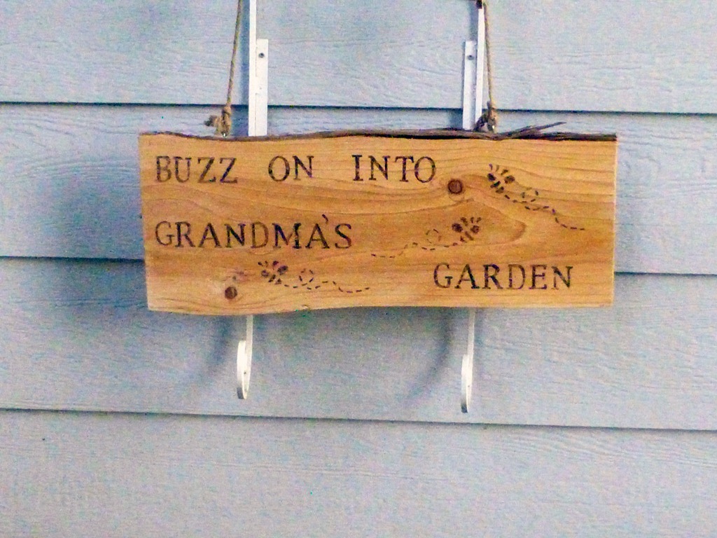 [P1030936%255B3%255D.jpg]