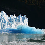 IMG_8779.JPG