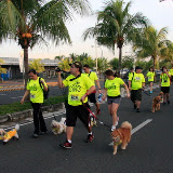 Pet Express Doggie Run 2012 Philippines. Jpg (97).JPG