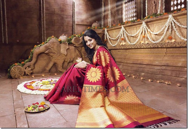 Trisha_Traditional_Saree (7)