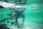 Under Water - 08.jpg