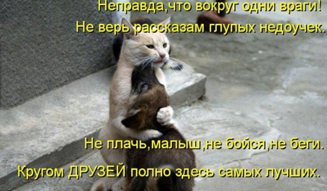 [94c821f4f48b962dd4720442290_prev%255B3%255D.jpg]