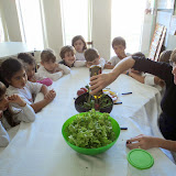 DSC03444.JPG
