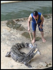 Thailand, Bangkok, Elephant and Crocodile Farm, 5 September 2012, (18)
