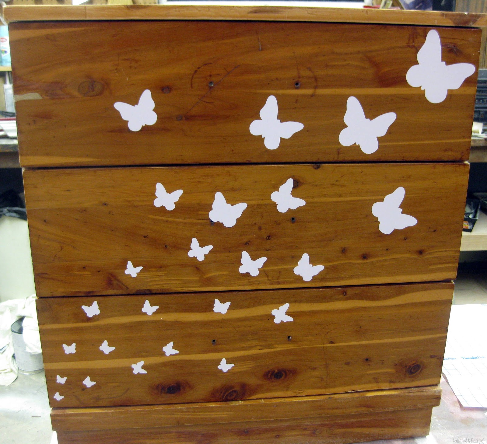 [Using%2520Vinyl%2520as%2520a%2520Stencil%2520%257BSawdust%2520%2526%2520Embryos%257D%255B3%255D.jpg]