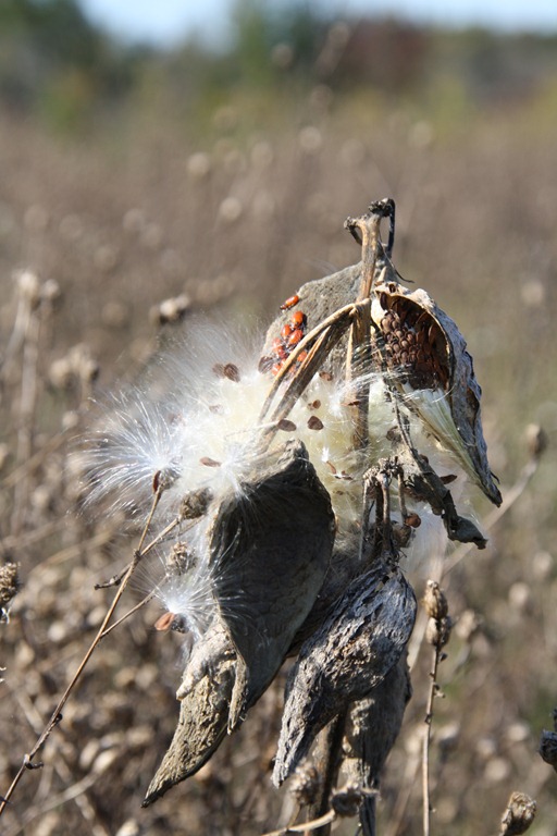 [IMG_87674.jpg]