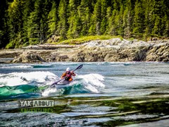 (c)Worldwildadventures-1842