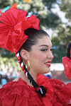 IMG_3385.JPG