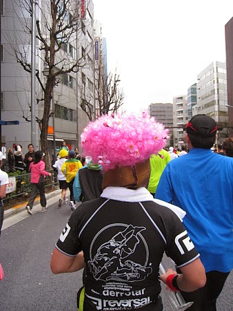 IMG_0690.JPG IMG_0690.JPG