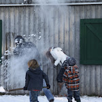 Bevers_in_de_sneeuw_2012_024.jpg