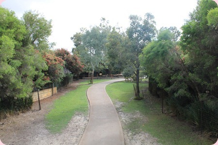 IMG_0412_resize