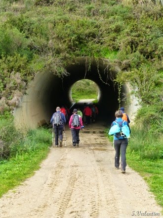 [P1140518%255B2%255D.jpg]