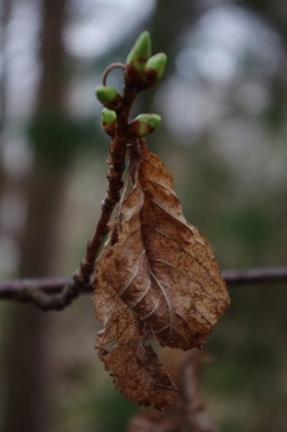 032 (425x640) 032 (425x640)