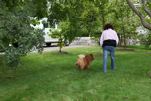 How's my prance?  Does my tail look good as it bounces?