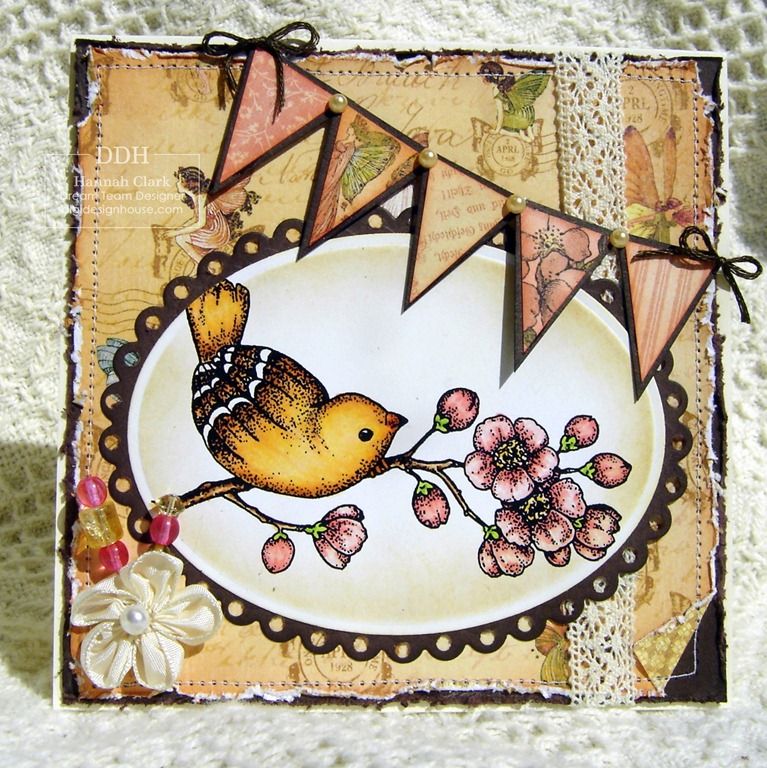 [Banner_Bird%255B3%255D.jpg]