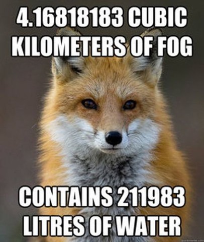[fox-facts-meme-10%255B2%255D.jpg]