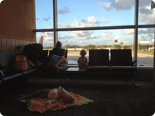 IMG_1194 IMG_1194