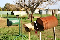 IMG_5038.JPG