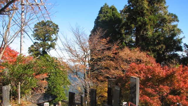 [IMG_4059%255B3%255D.jpg]