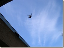Sky spinner Sky spinner