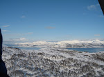 Herlig humpetur over skogen, utsikt utover mot Andøya. Ikke sjøsyk i dag, nei :-)
