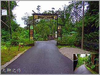 DSCF6687 DSCF6687