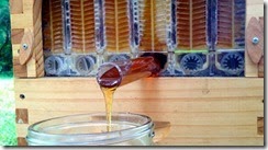 Copy of honey draining 1