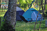 DSC_3186.JPG
