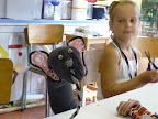 Grabbelpas 2009: Foto