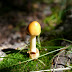 P1110951