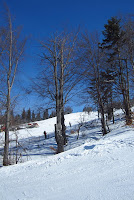 na Julianach Photo