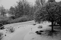 IMG_9515