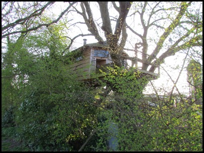 1 TreeHouse 1 TreeHouse