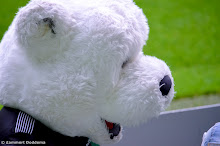 20140928 - WVV E1-E2 bij FC Groningen - 008.jpg