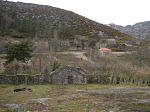 Salgueiro, vista xeral