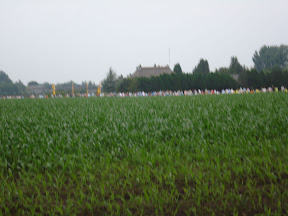 DSC03135.JPG