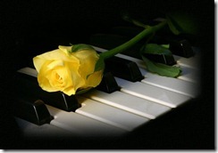 Rosa_amarilla Rosa_amarilla