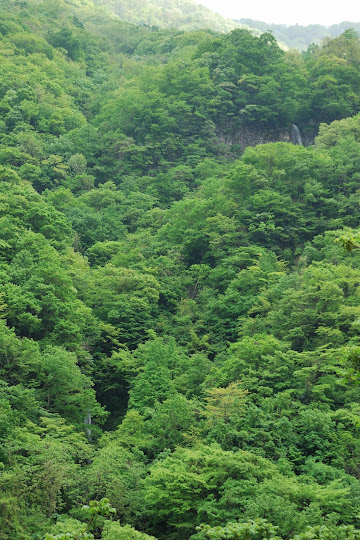 不動滝