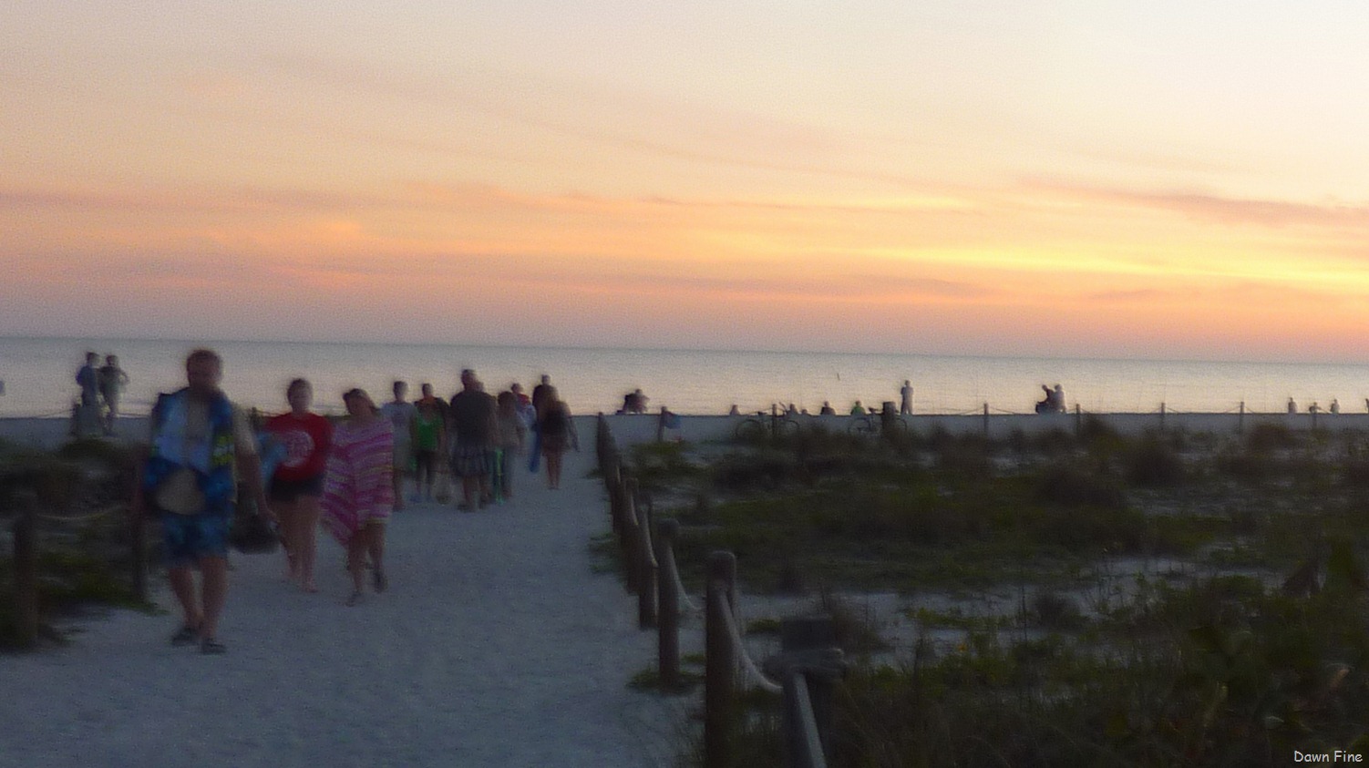 [Sunset-walk-Bowmans-beach_00417.jpg]