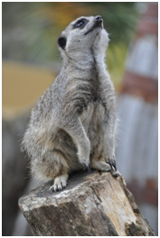 [image%255B13%255D.png]