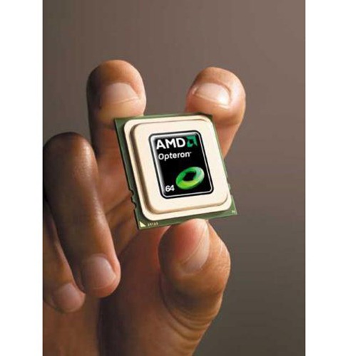 amd amd