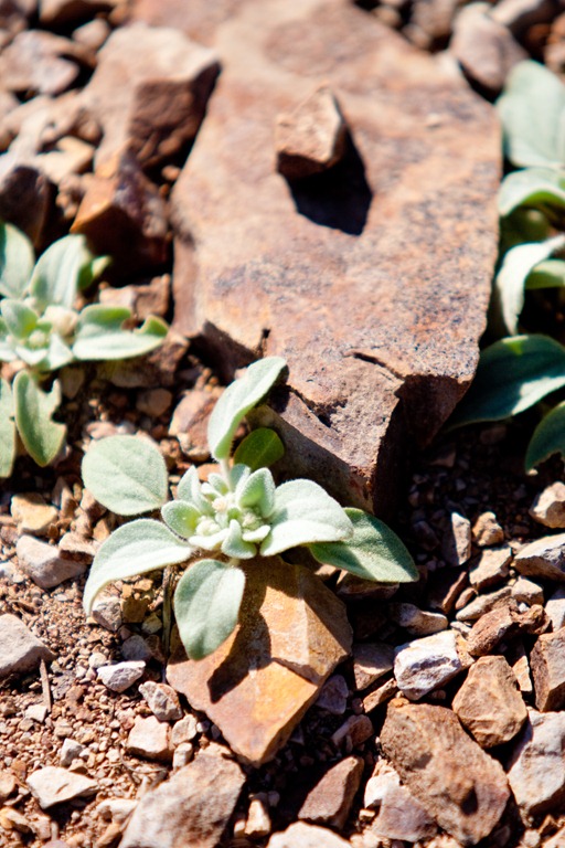 [20120713-IMG_6263%255B3%255D.jpg]