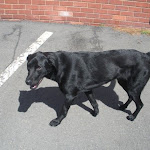 DSCN4671.jpg